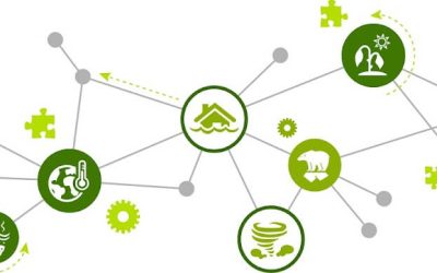 Policy Recommendations for a Resilient Recovery